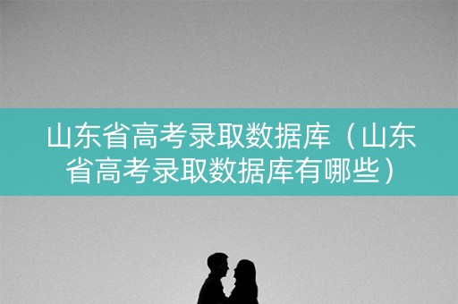 山东省高考录取数据库（山东省高考录取数据库有哪些）