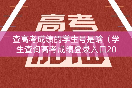 查高考成绩的学生号是啥（学生查询高考成绩登录入口2021）