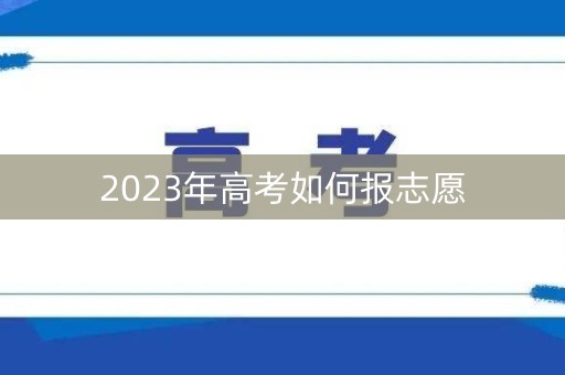 2023年高考如何报志愿