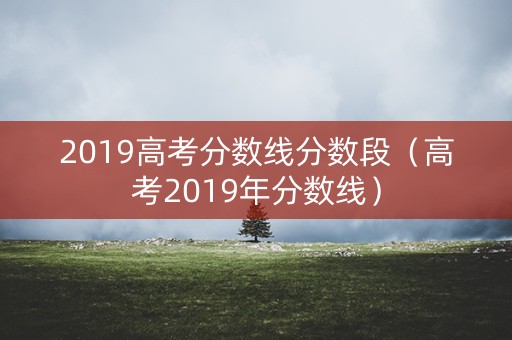 2019高考分数线分数段（高考2019年分数线）