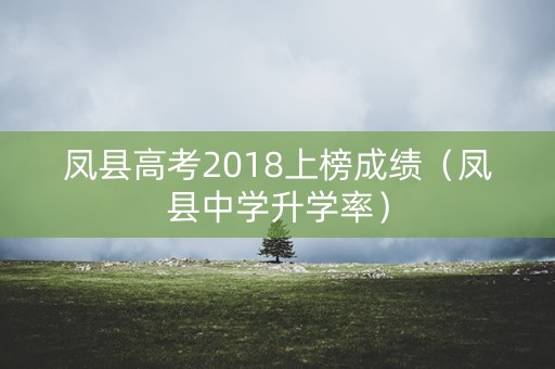 凤县高考2018上榜成绩（凤县中学升学率）