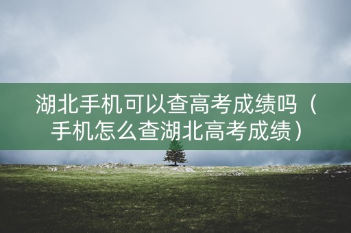 湖北手机可以查高考成绩吗(手机怎么查湖北高考成绩) 湖北手机可以查高考成绩吗(手机怎么查湖北高考成绩)
