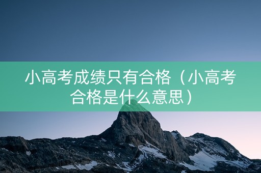 小高考成绩只有合格（小高考合格是什么意思）