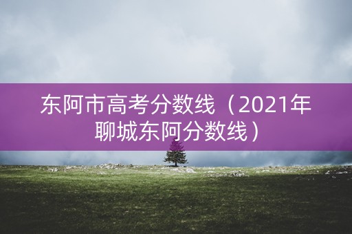 东阿市高考分数线（2021年聊城东阿分数线）