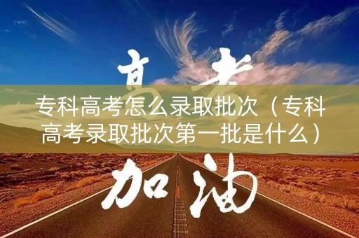 专科高考怎么录取批次（专科高考录取批次第一批是什么）