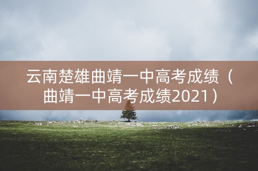 云南楚雄曲靖一中高考成绩（曲靖一中高考成绩2021）