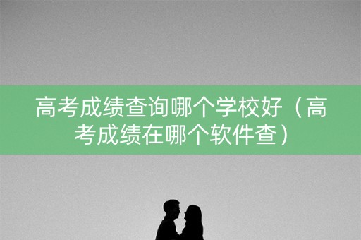 高考成绩查询哪个学校好（高考成绩在哪个软件查）