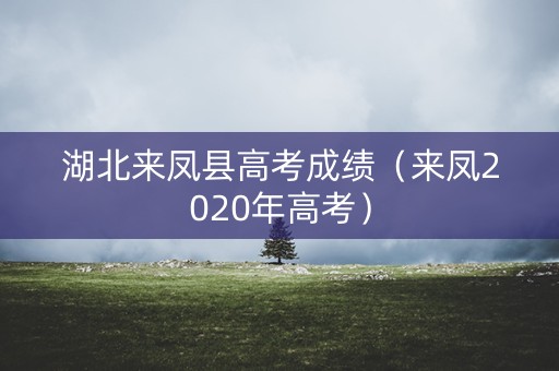 湖北来凤县高考成绩（来凤2020年高考）