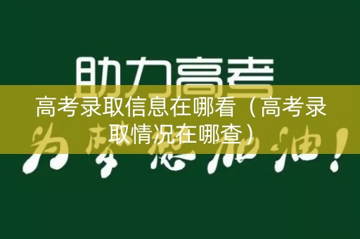 高考录取信息在哪看（高考录取情况在哪查）