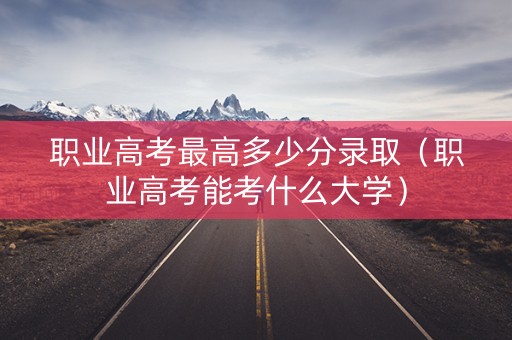 职业高考最高多少分录取（职业高考能考什么大学）
