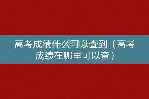 高考成绩什么可以查到（高考成绩在哪里可以查）