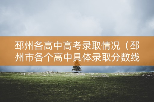 邳州各高中高考录取情况(邳州市各个高中具体录取分数线) 邳州各高中高考录取情况(邳州市各个高中具体录取分数线)