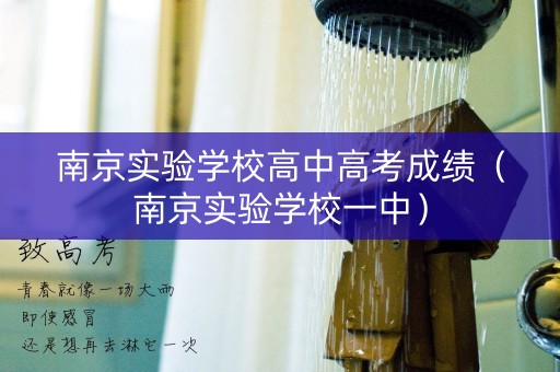 南京实验学校高中高考成绩（南京实验学校一中）