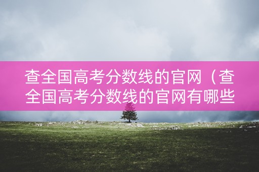 查全国高考分数线的官网（查全国高考分数线的官网有哪些）