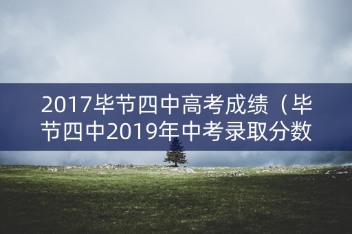 2017毕节四中高考成绩（毕节四中2019年中考录取分数线）