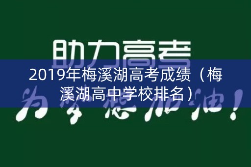 2019年梅溪湖高考成绩（梅溪湖高中学校排名）