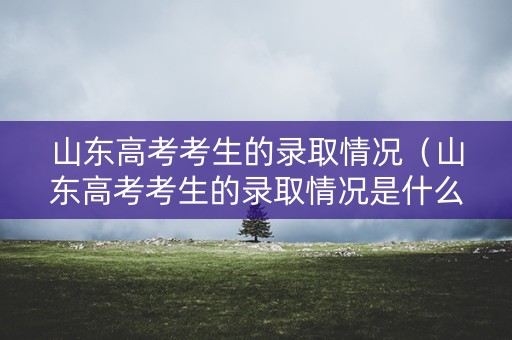 山东高考考生的录取情况（山东高考考生的录取情况是什么）