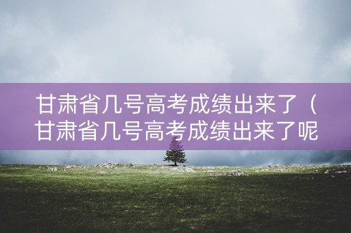甘肃省几号高考成绩出来了（甘肃省几号高考成绩出来了呢）