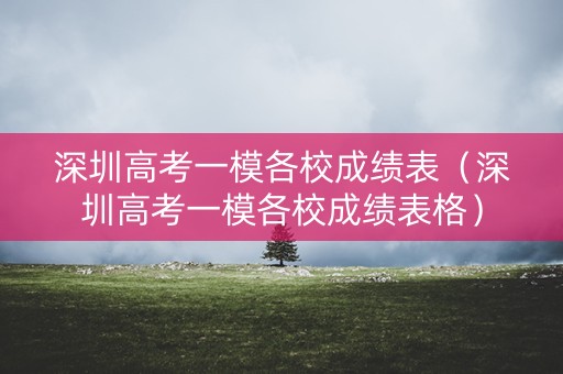 深圳高考一模各校成绩表（深圳高考一模各校成绩表格）