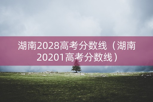 湖南2028高考分数线(湖南20201高考分数线) 湖南2028高考分数线(湖南20201高考分数线)