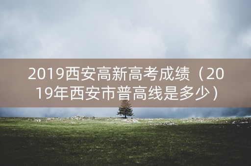 2019西安高新高考成绩（2019年西安市普高线是多少）