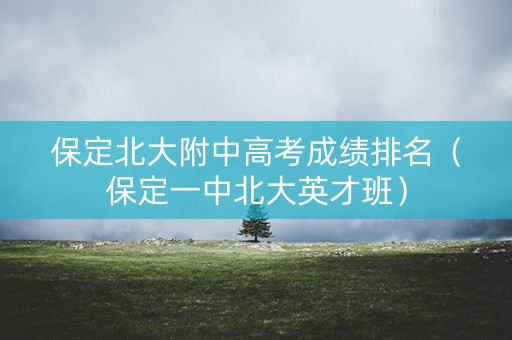 保定北大附中高考成绩排名（保定一中北大英才班）