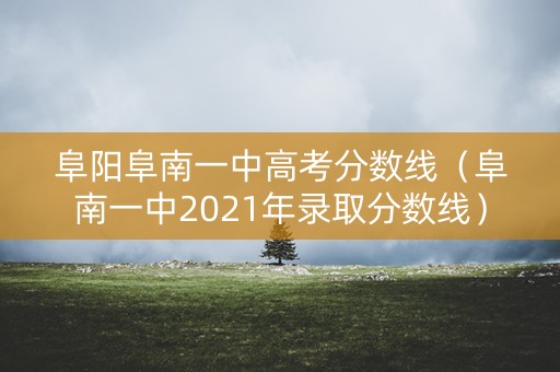 阜阳阜南一中高考分数线（阜南一中2021年录取分数线）