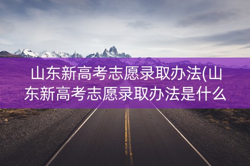 山东新高考志愿录取办法(山东新高考志愿录取办法是什么) 山东新高考志愿录取办法(山东新高考志愿录取办法是什么)