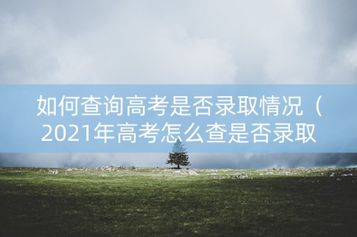 如何查询高考是否录取情况（2021年高考怎么查是否录取）