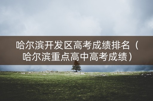 哈尔滨开发区高考成绩排名(哈尔滨重点高中高考成绩) 哈尔滨开发区高考成绩排名(哈尔滨重点高中高考成绩)