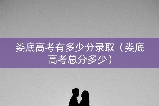 娄底高考有多少分录取（娄底高考总分多少）