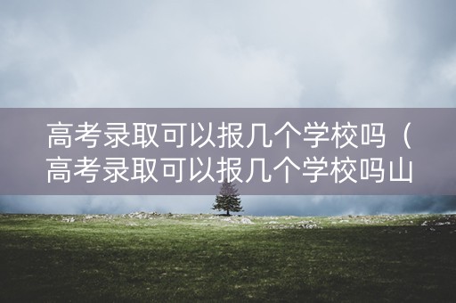 高考录取可以报几个学校吗（高考录取可以报几个学校吗山东）