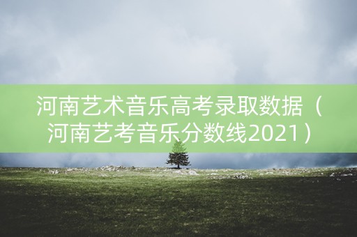 河南艺术音乐高考录取数据（河南艺考音乐分数线2021）