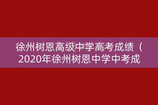 徐州树恩高级中学高考成绩（2020年徐州树恩中学中考成绩）
