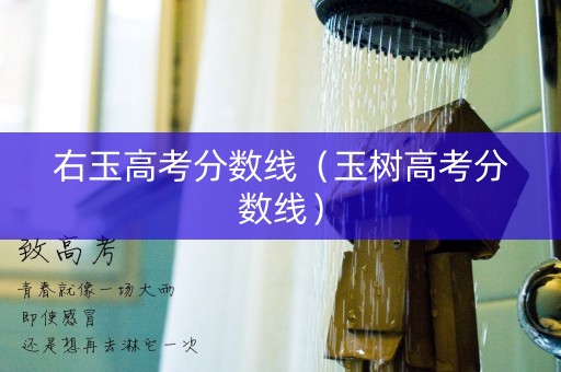 右玉高考分数线(玉树高考分数线) 右玉高考分数线(玉树高考分数线)