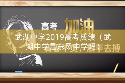 武湖中学2019高考成绩（武湖中学是东风中学吗）