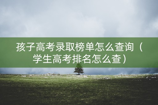 孩子高考录取榜单怎么查询(学生高考排名怎么查) 孩子高考录取榜单怎么查询(学生高考排名怎么查)