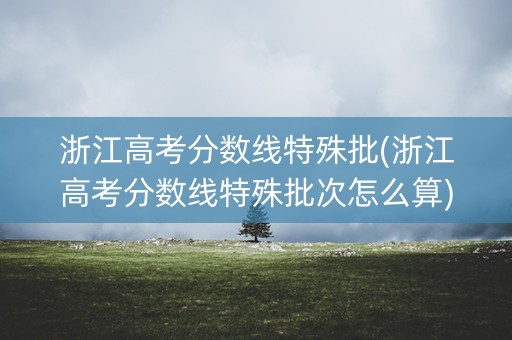 浙江高考分数线特殊批(浙江高考分数线特殊批次怎么算) 浙江高考分数线特殊批(浙江高考分数线特殊批次怎么算)