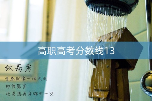 高职高考分数线13