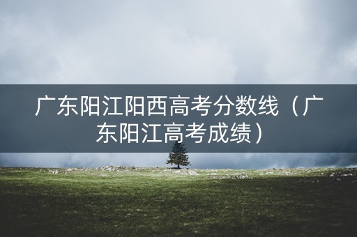 广东阳江阳西高考分数线（广东阳江高考成绩）