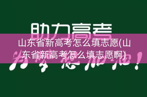 山东省新高考怎么填志愿(山东省新高考怎么填志愿啊) 山东省新高考怎么填志愿(山东省新高考怎么填志愿啊)