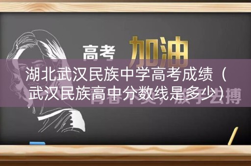 湖北武汉民族中学高考成绩（武汉民族高中分数线是多少）