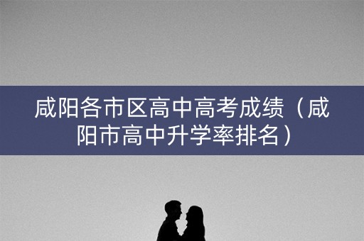 咸阳各市区高中高考成绩（咸阳市高中升学率排名）