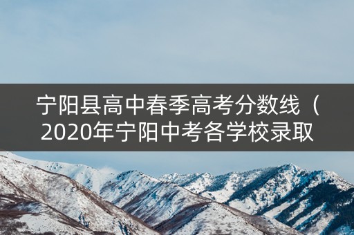 宁阳县高中春季高考分数线（2020年宁阳中考各学校录取分数线）