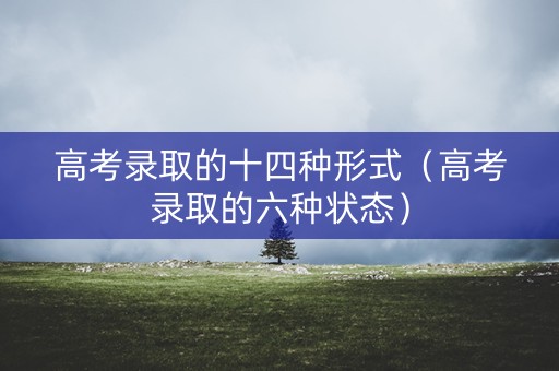 高考录取的十四种形式（高考录取的六种状态）