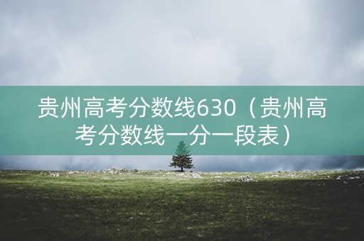 贵州高考分数线630(贵州高考分数线一分一段表) 贵州高考分数线630(贵州高考分数线一分一段表)