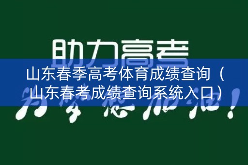 山东春季高考体育成绩查询（山东春考成绩查询系统入口）