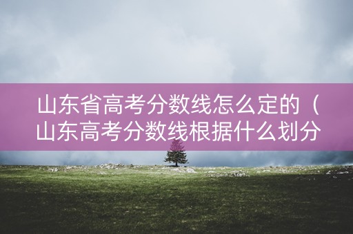 山东省高考分数线怎么定的（山东高考分数线根据什么划分的）