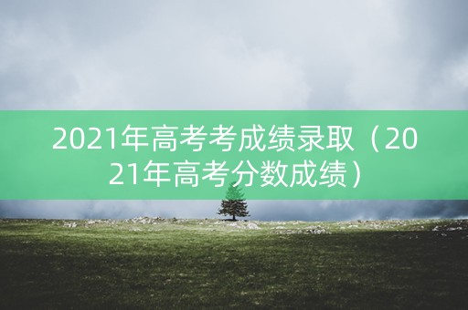 2021年高考考成绩录取（2021年高考分数成绩）