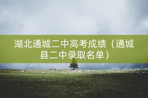湖北通城二中高考成绩（通城县二中录取名单）